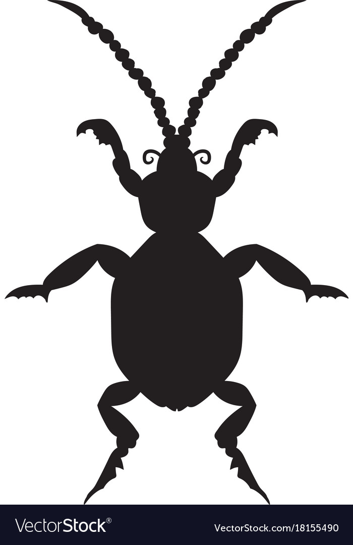 Black silhouette of a beetle on white background