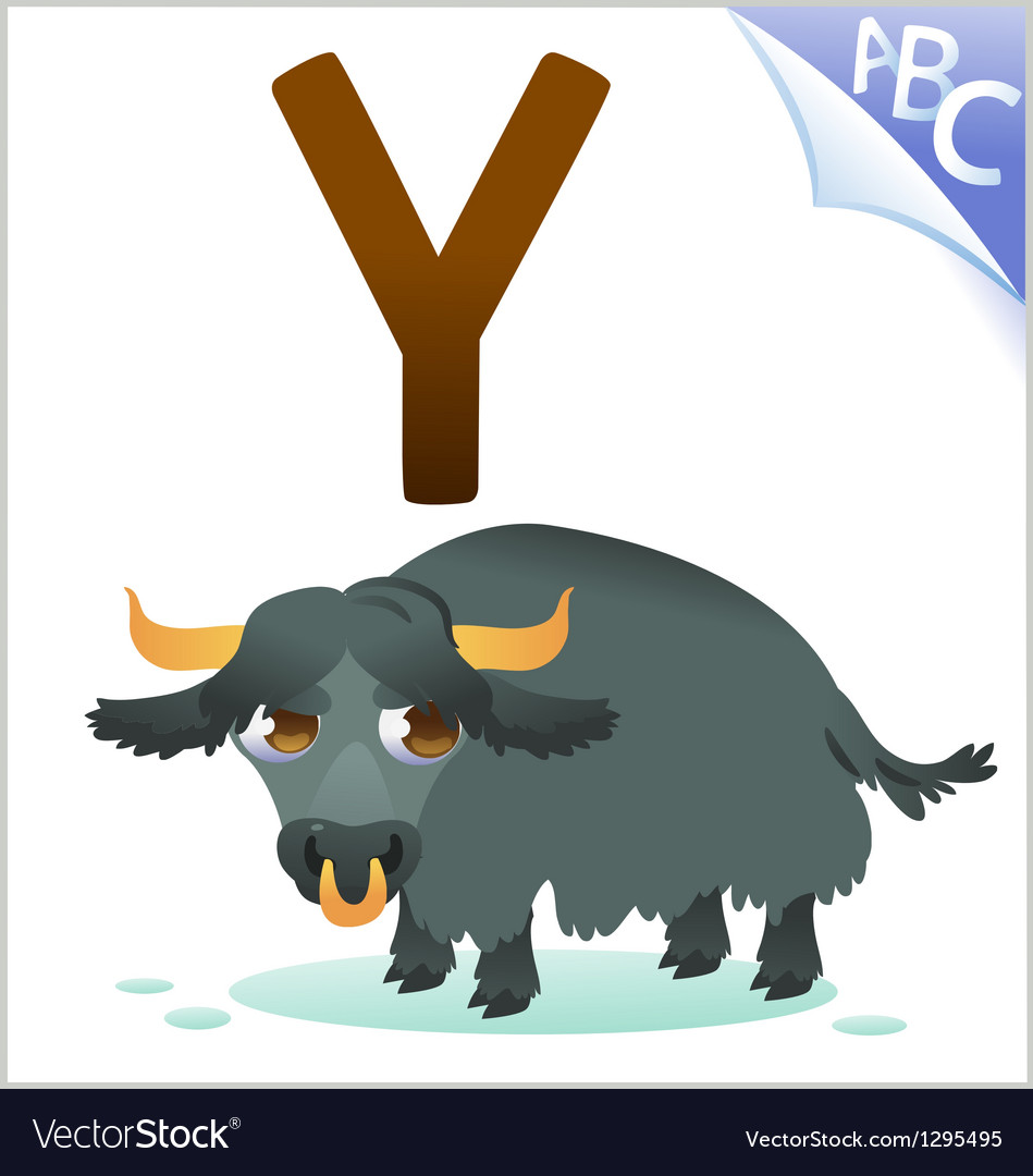  Yak Letter Y Alphabet Lore Animals For Boys, Girls