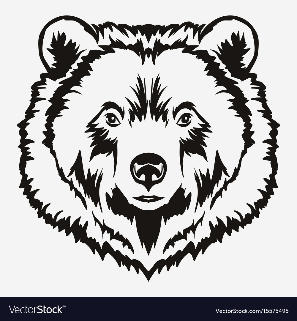 Bear Head Cartoon Royalty Free Vector Image Vectorstock