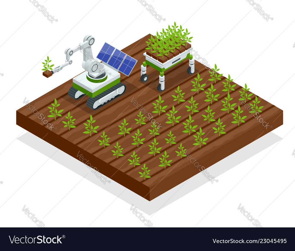 Isometric automation smart farming on field Vector Image