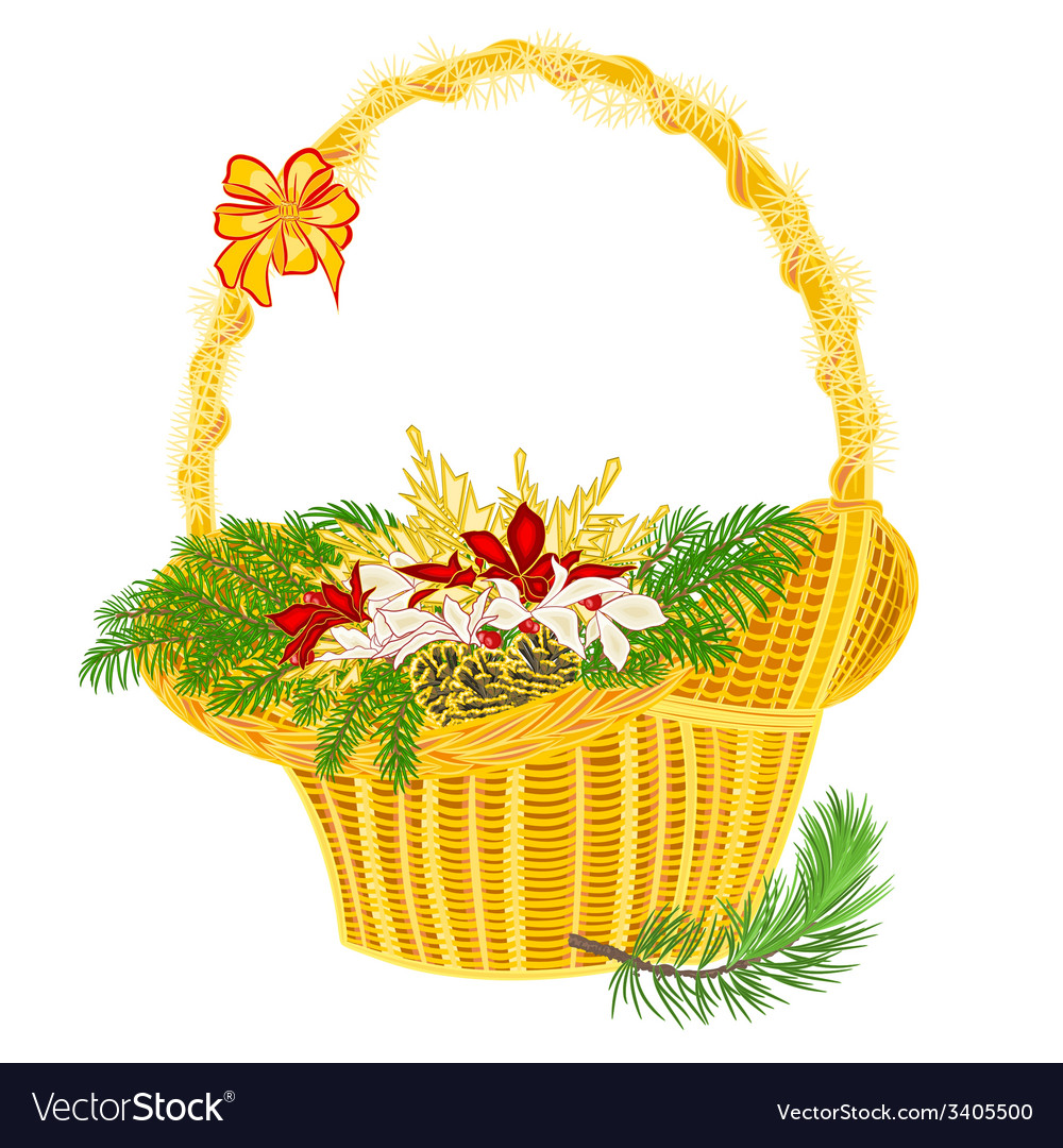 Christmas decoration basket with branches Vector Image