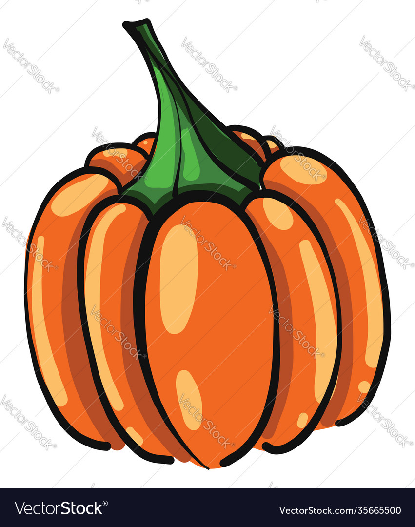 Fresh pumpkin on a white background