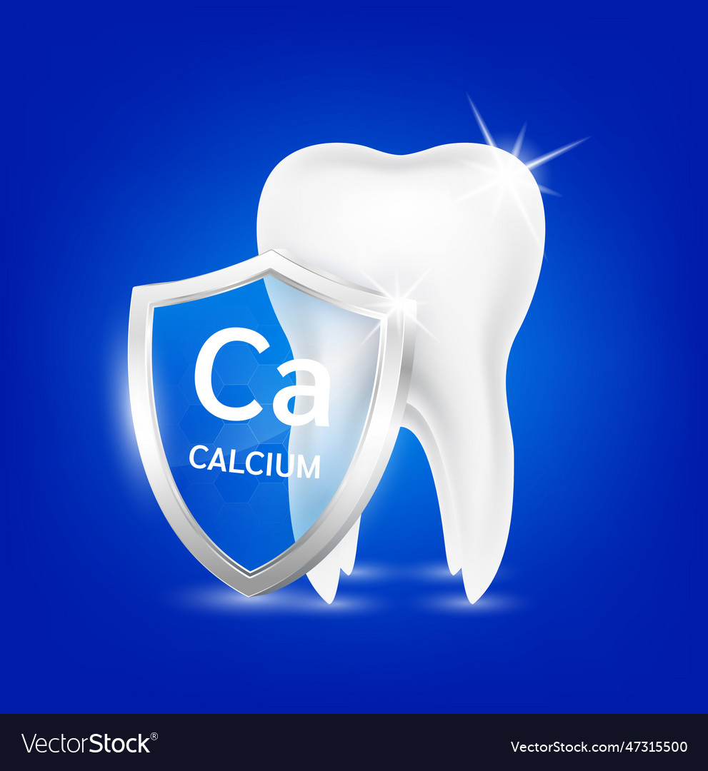 Healthy tooth Royalty Free Vector Image - VectorStock