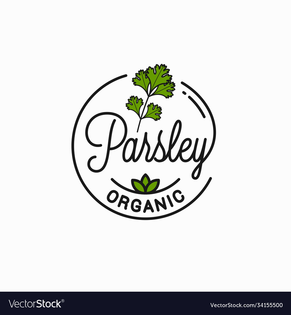 Parsley Branch Logo Round Linear Parsey Royalty Free Vector