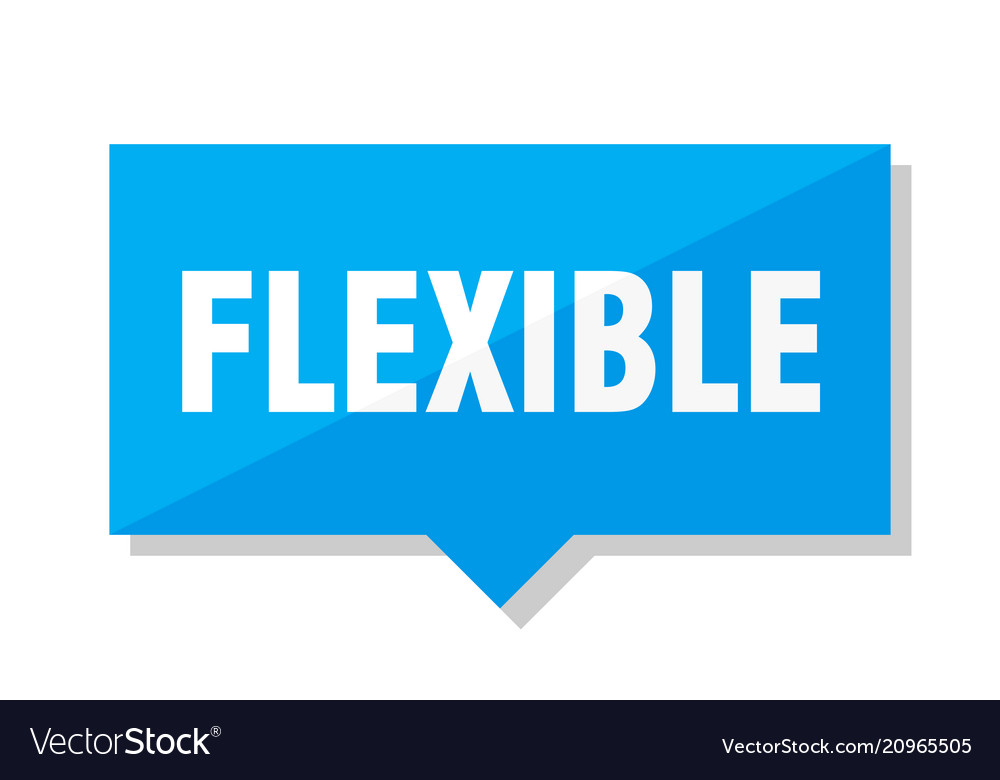 Flexible price tag Royalty Free Vector Image VectorStock