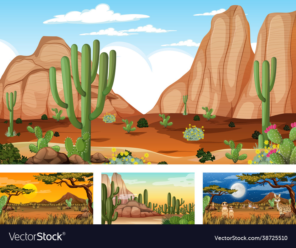 Different scenes with desert forest landscape Vector Image