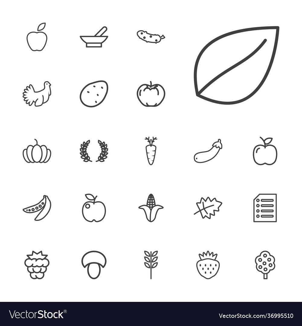 Organic icons Royalty Free Vector Image - VectorStock