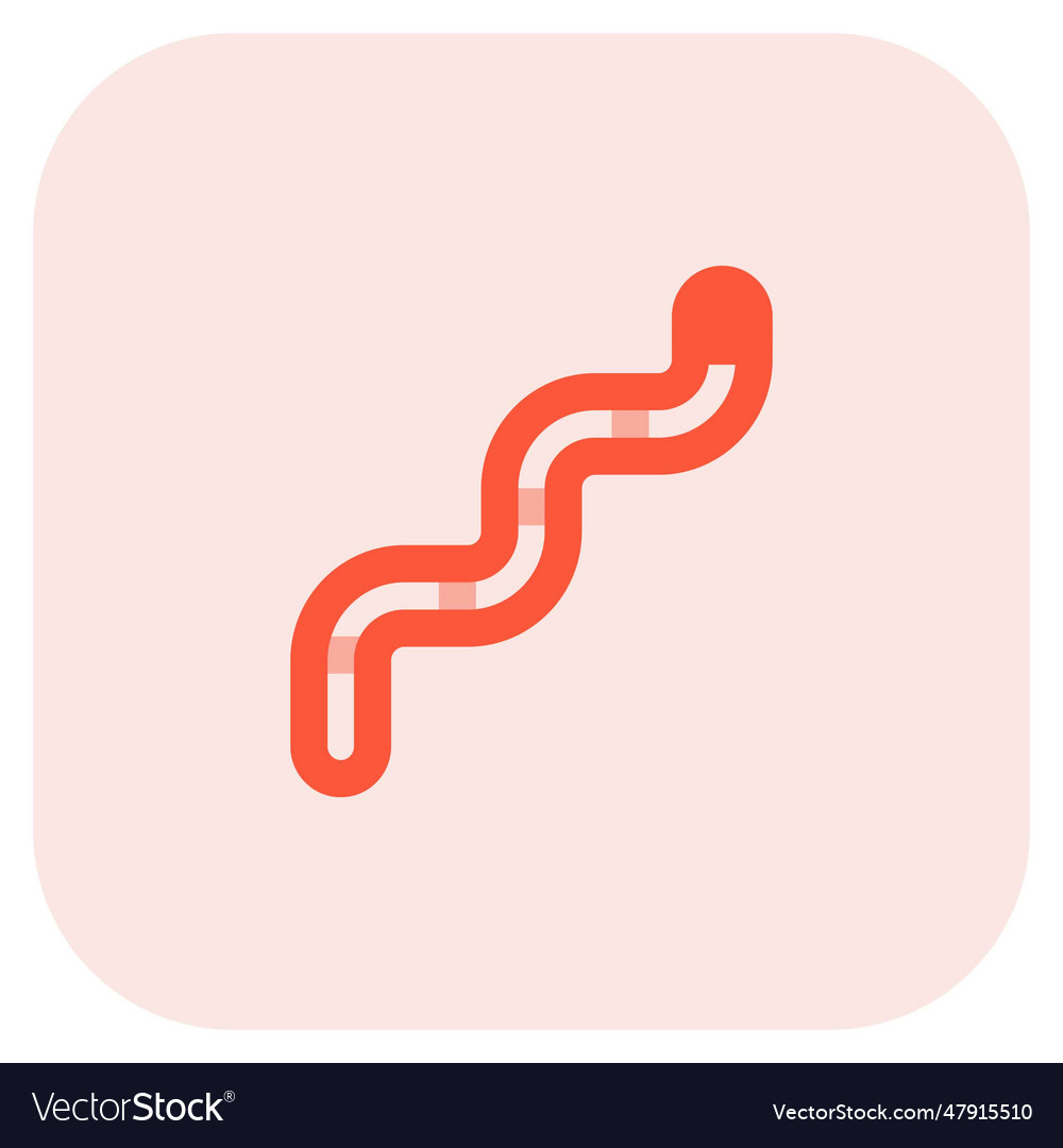 Worm ein Malware-Programm das sich selbst repliziert