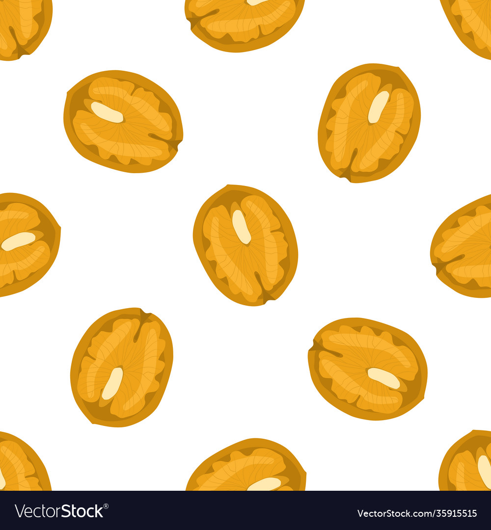 On theme big pattern identical types walnut vector image On theme big pattern identical types walnut