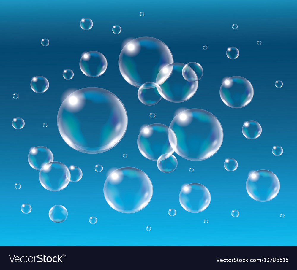 Realistic isolated soap bubbles Royalty Free Vector Image