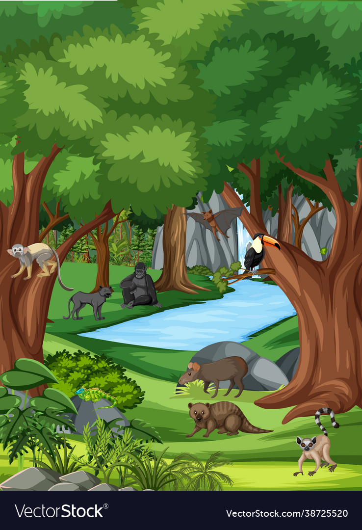 Nature scene with stream flowing through