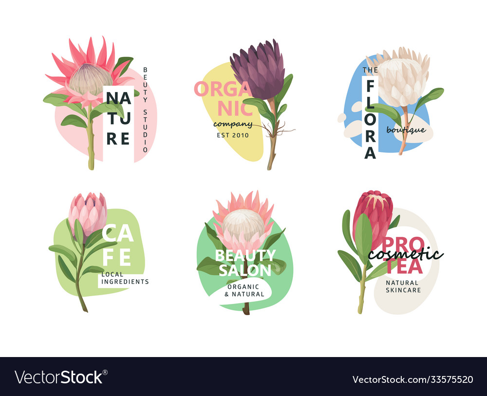 Protea flower logo design badge