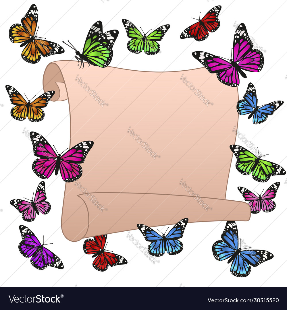 Scroll and multicolored butterflies isolate vector image Scroll and multicolored butterflies isolate