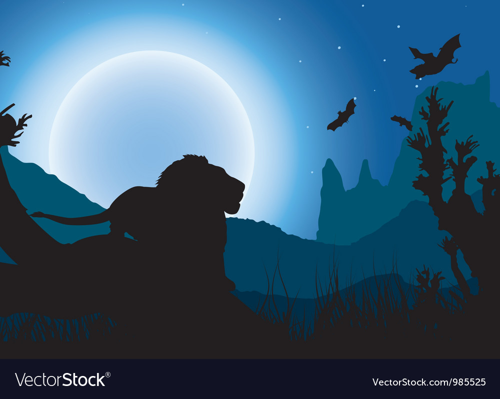 African night background lion has a rest under