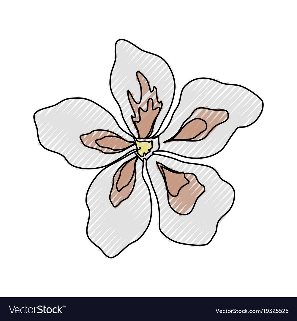 Beautiful flower symbol Royalty Free Vector Image