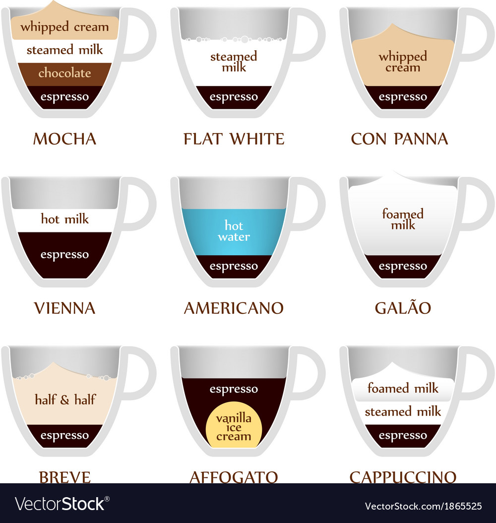 Coffee types Royalty Free Vector Image - VectorStock