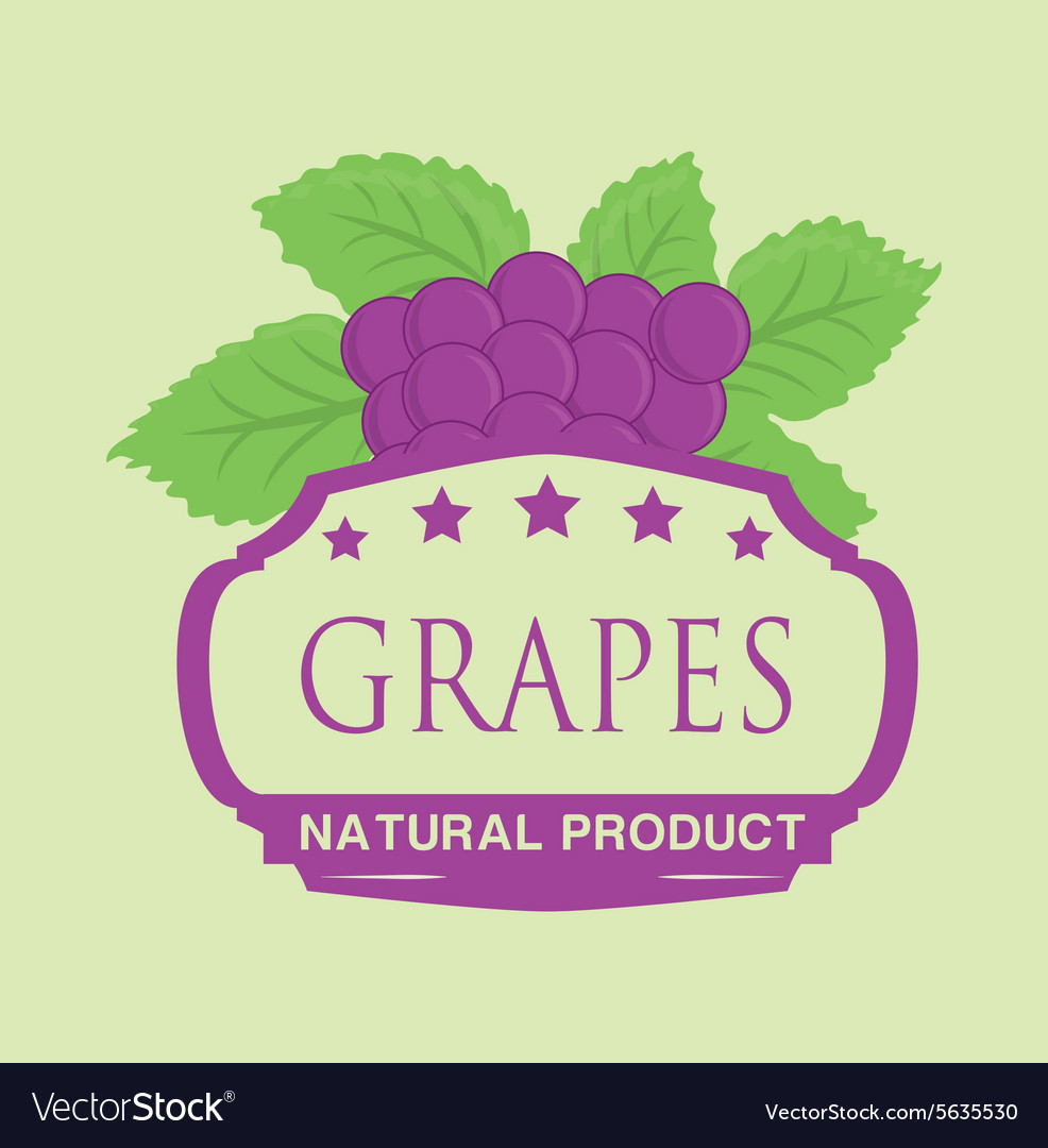 Fruits design Royalty Free Vector Image - VectorStock