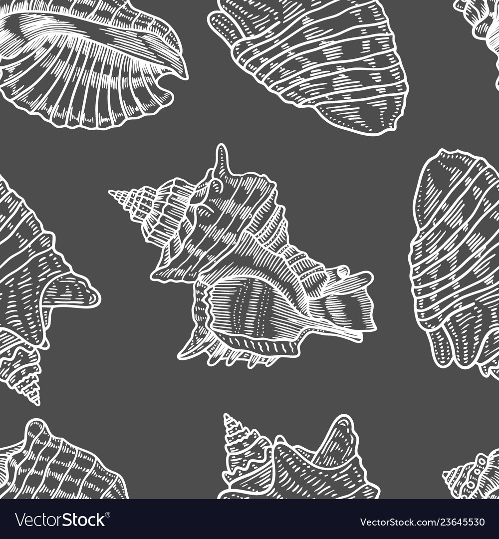 Seashells seamless pattern