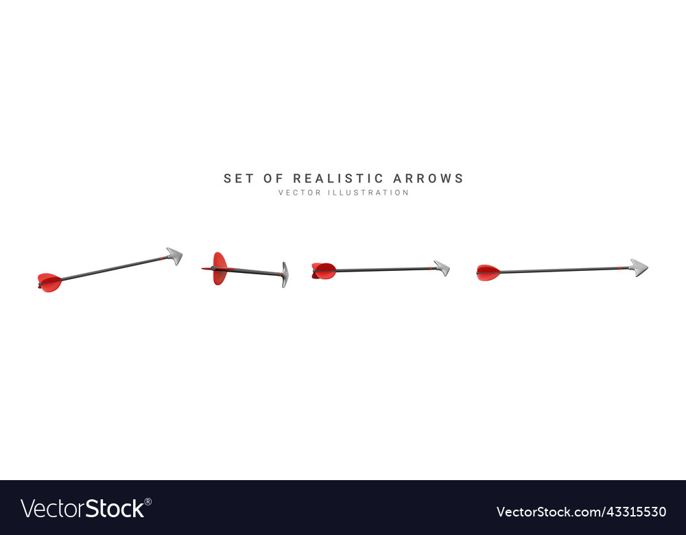Set of realistic arrows vector image Set of realistic arrows