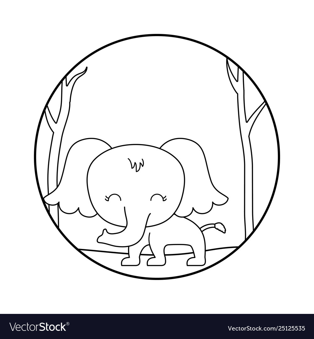 Cute elephant animal in forest