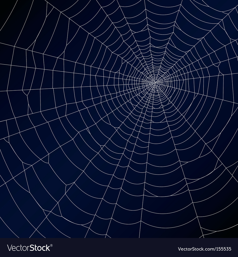 Spiderweb Royalty Free Vector Image - VectorStock