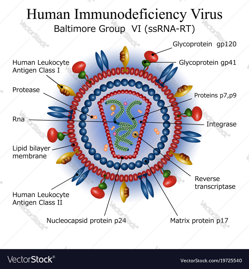 Labeled Hiv Model