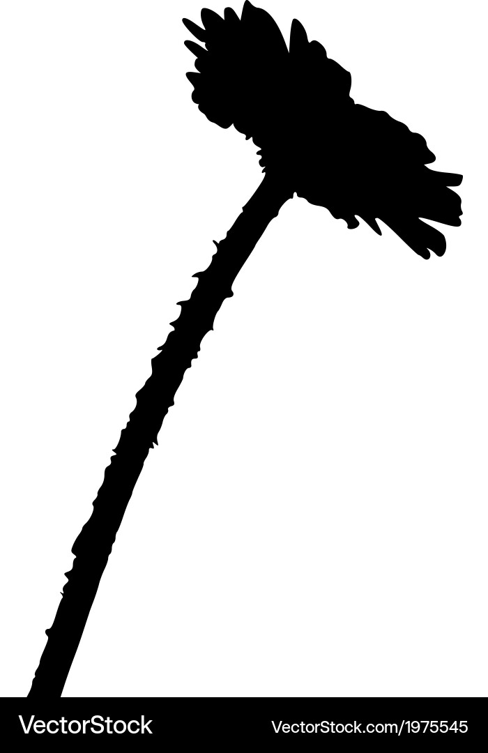 Daisy Royalty Free Vector Image - VectorStock