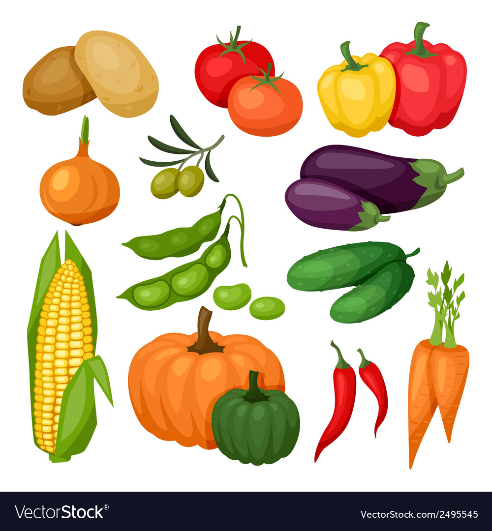 Icon set of fresh ripe stylized vegetables Vector Image