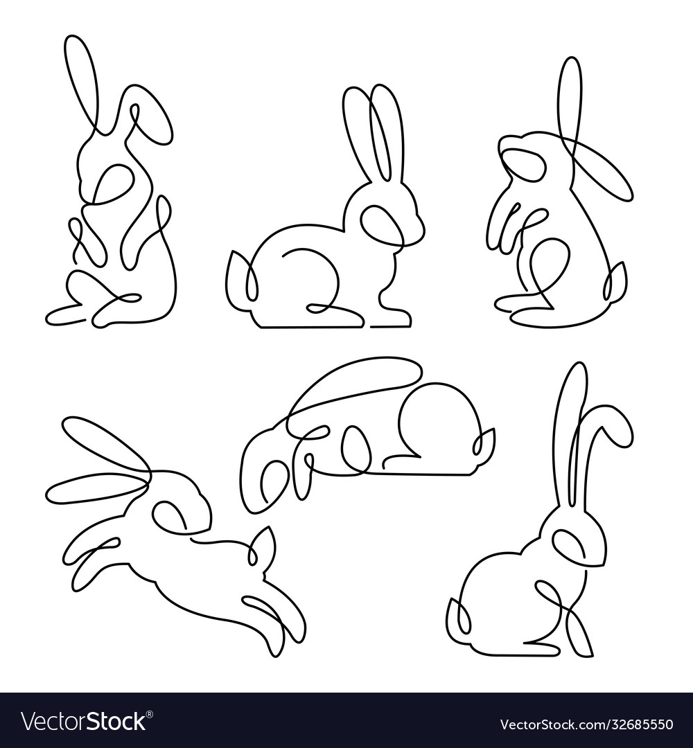 bunny line art