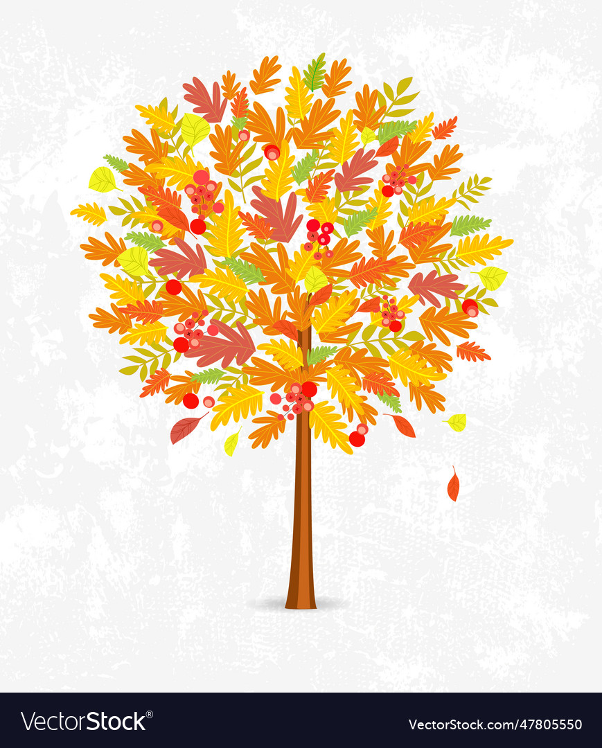Decorative autumn tree round shape with colorful vector image Decorative autumn tree round shape with colorful