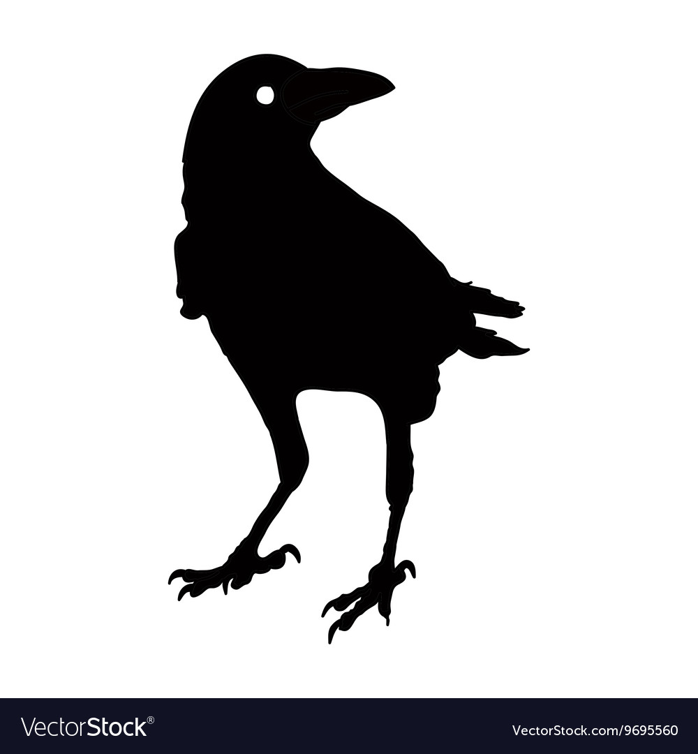 Silhouette of a crows in different