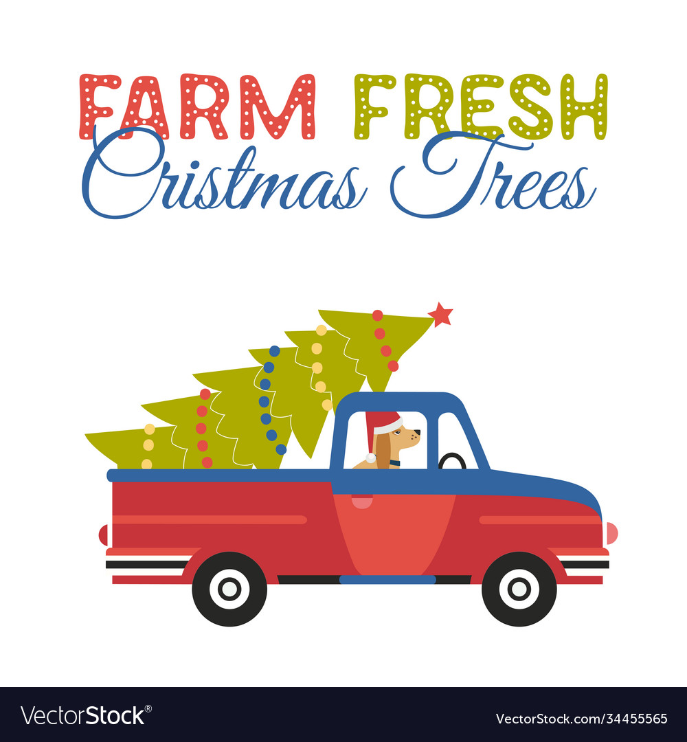 Farm fresh christmas trees flat color icon