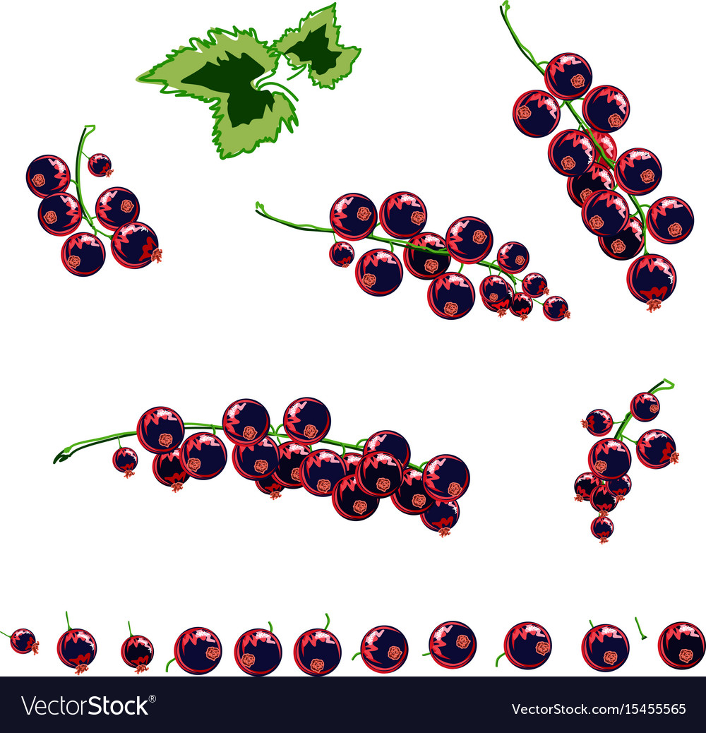 Stylized berries set