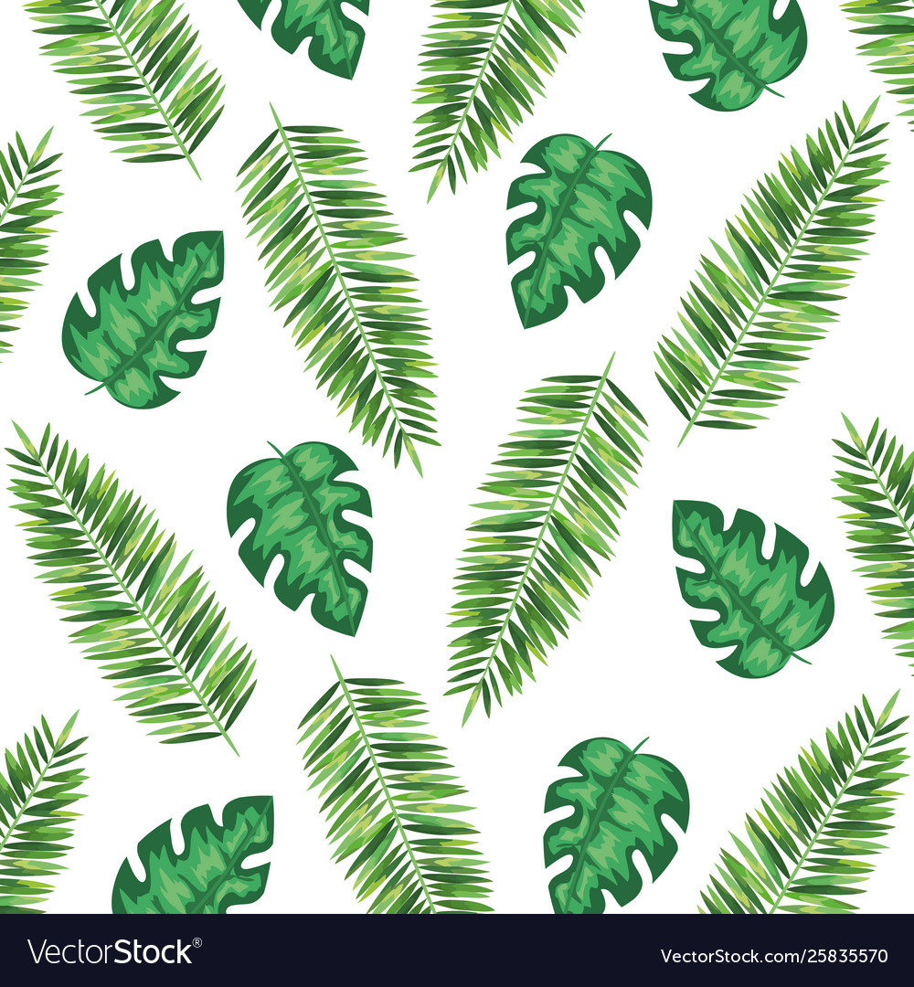 Branch with leafs plants pattern background vector image Branch with leafs plants pattern background
