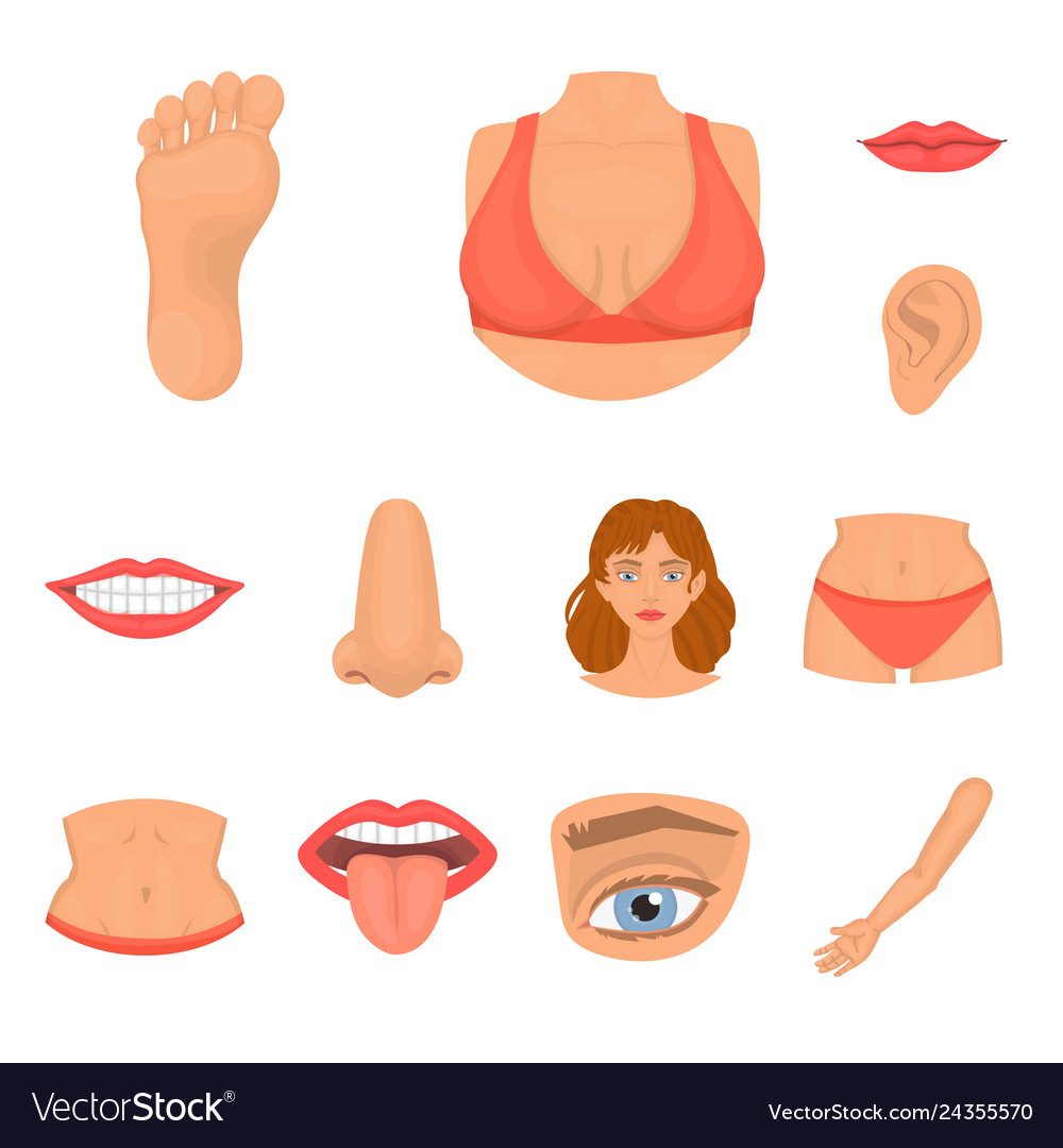 Design of body and part sign collection vector image Design of body and part sign collection