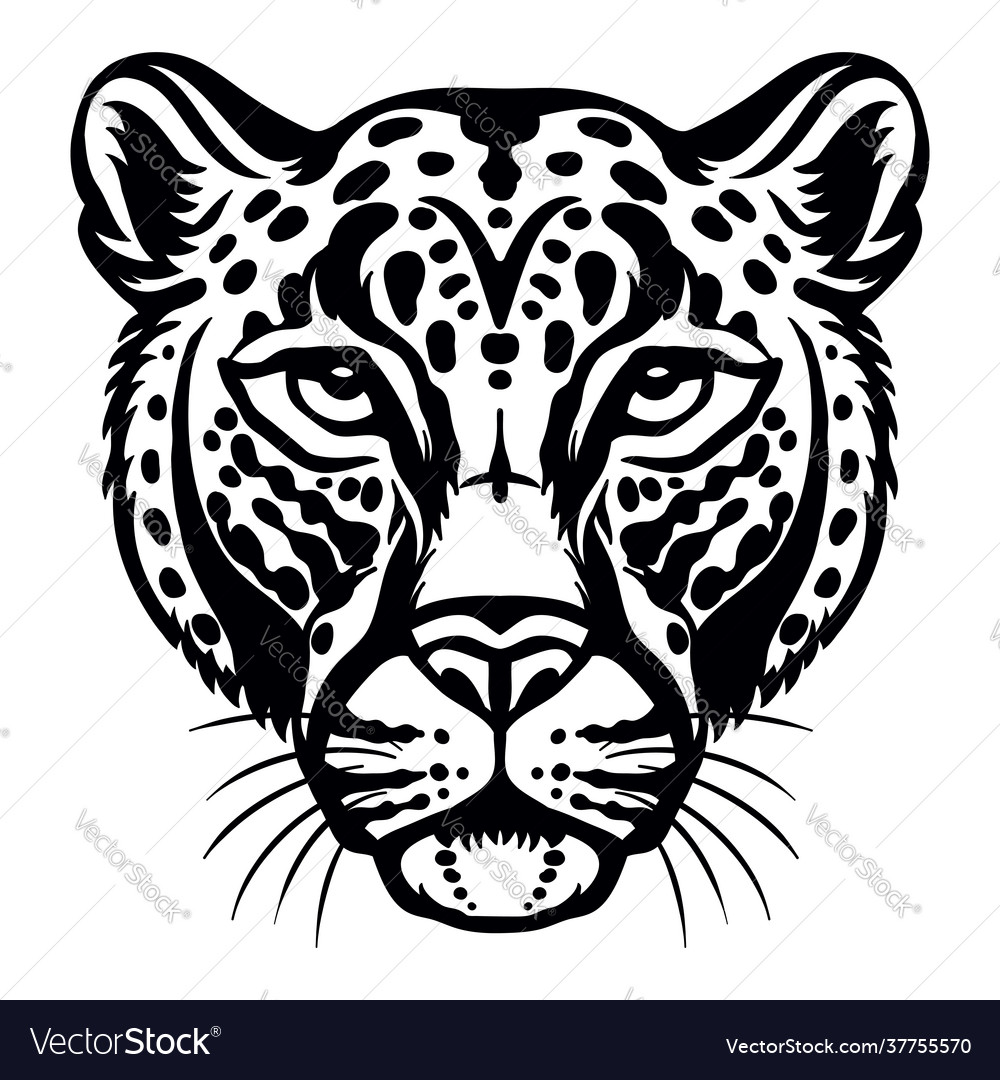 Head mascot leopard isolated on white