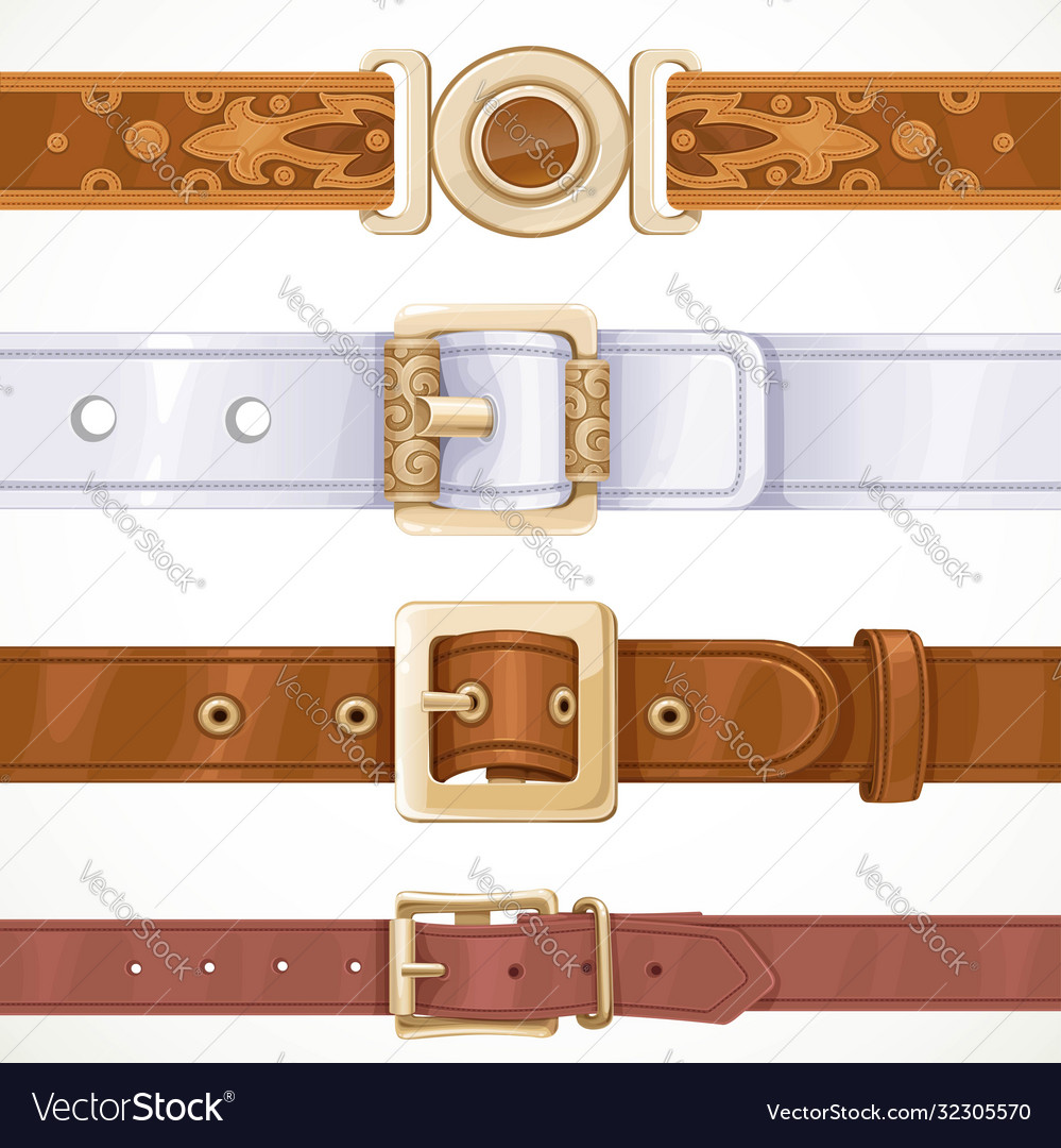 Various leather belts buttoned on buckles vector image Various leather belts buttoned on buckles