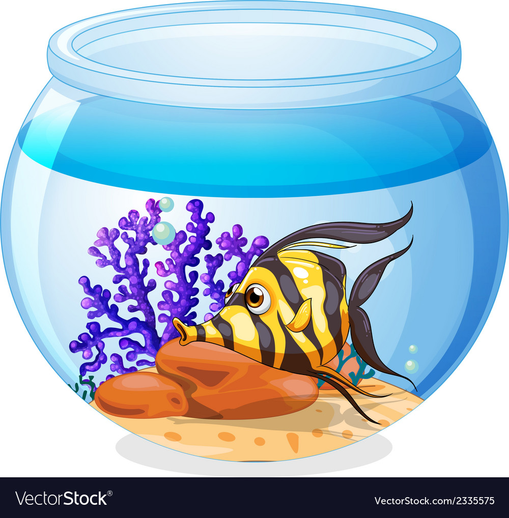 A fish inside the jar Royalty Free Vector Image