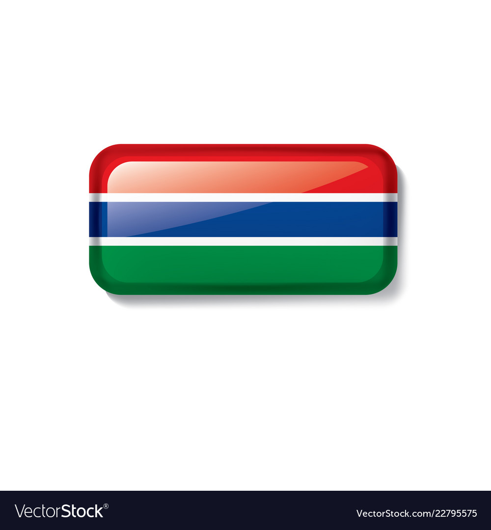 Gambia flag on a white Royalty Free Vector Image