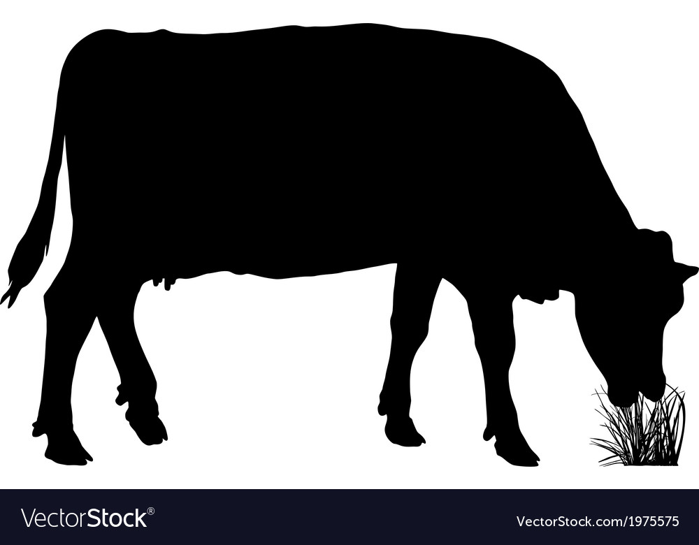 Grazing cow Royalty Free Vector Image - VectorStock