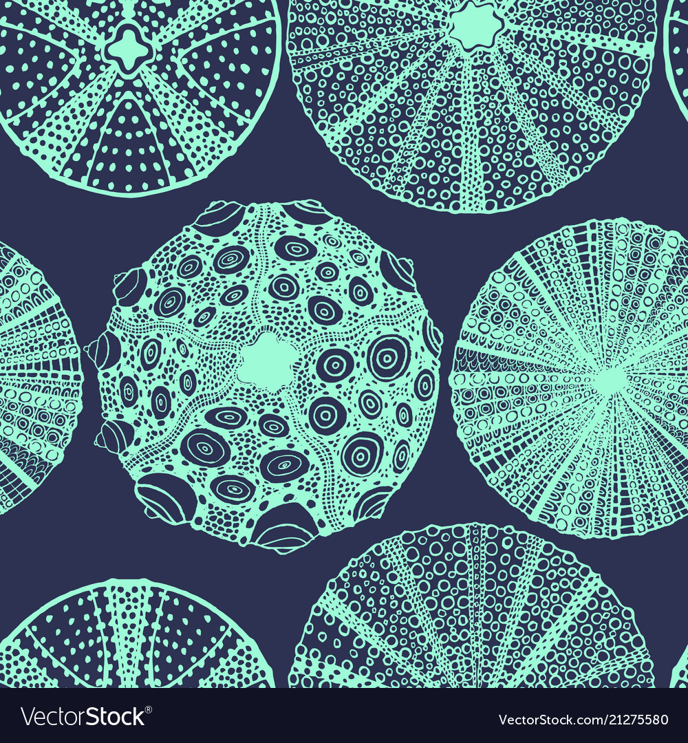 Dark Urchin Pattern - Seashell Texture
