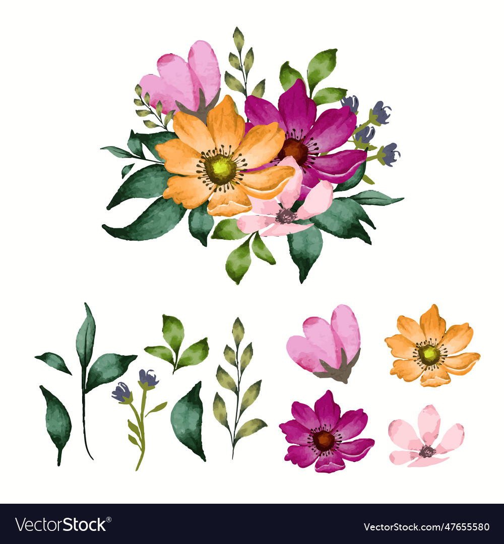 Floral bouquet with isolated flowers and leaves