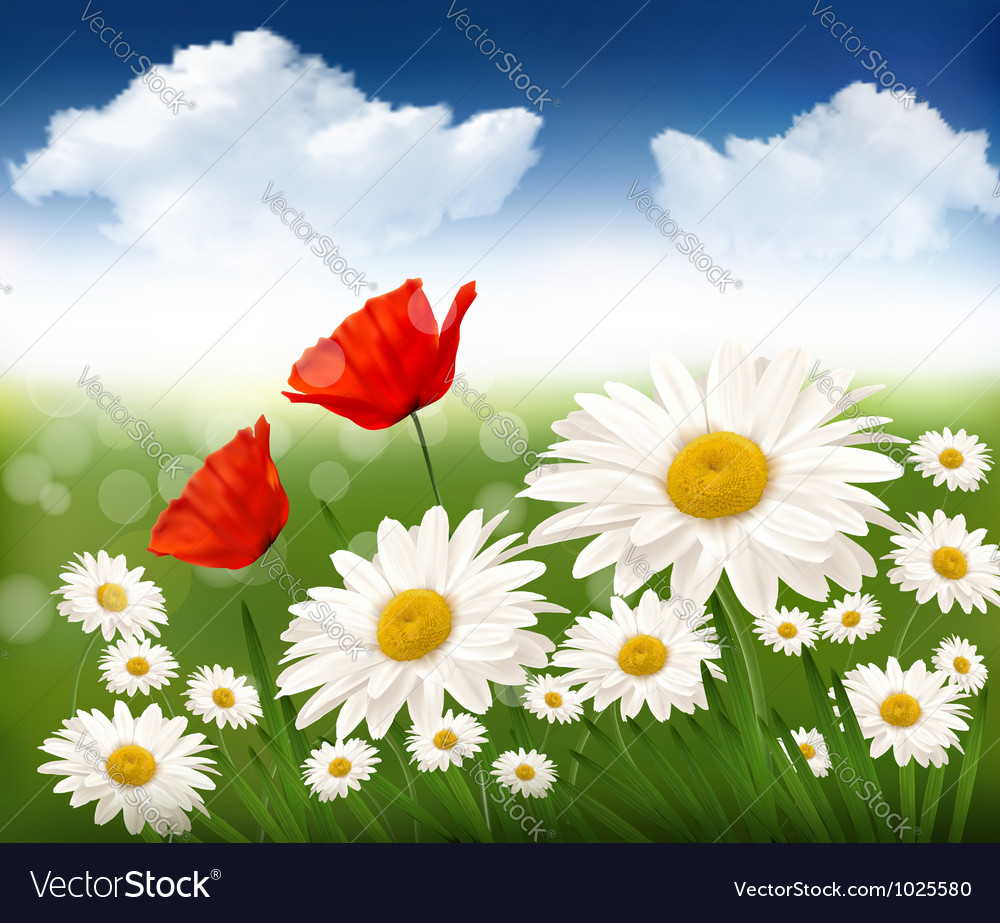 Nature background with beautiful flowers and blue Vector Image