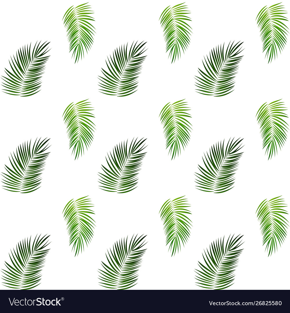 Palm trees on white background seamless pattern vector image Palm trees on white background seamless pattern