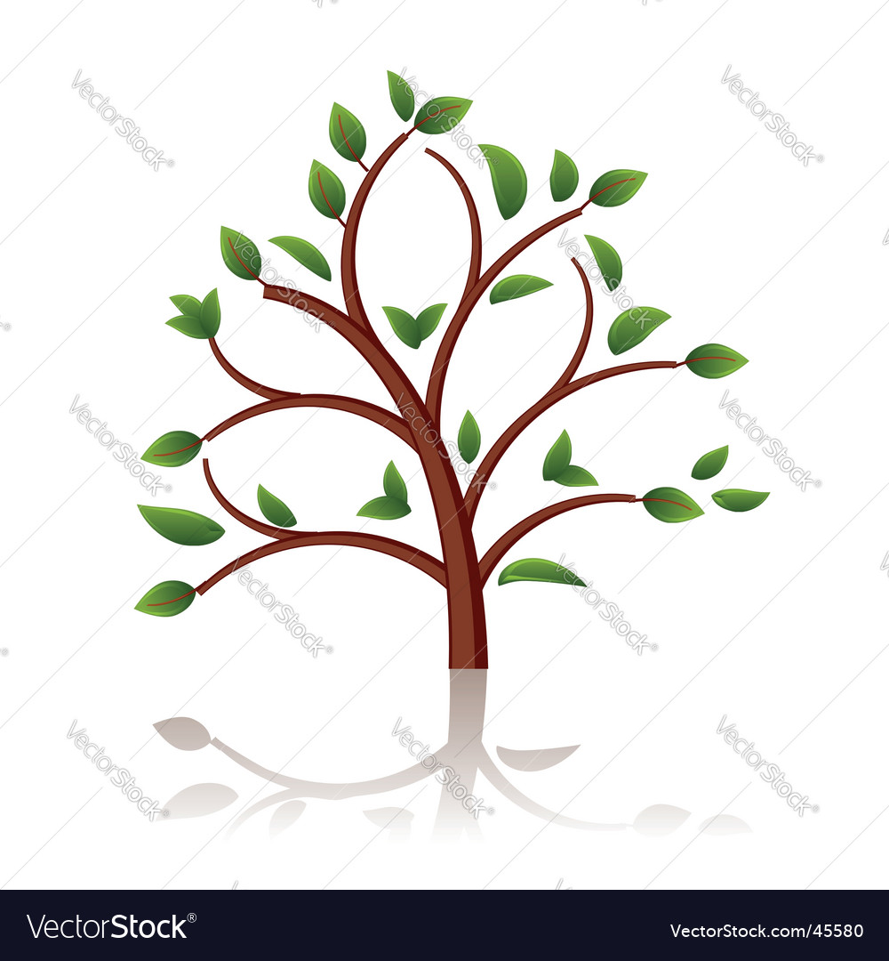 Tree beautiful Royalty Free Vector Image - VectorStock