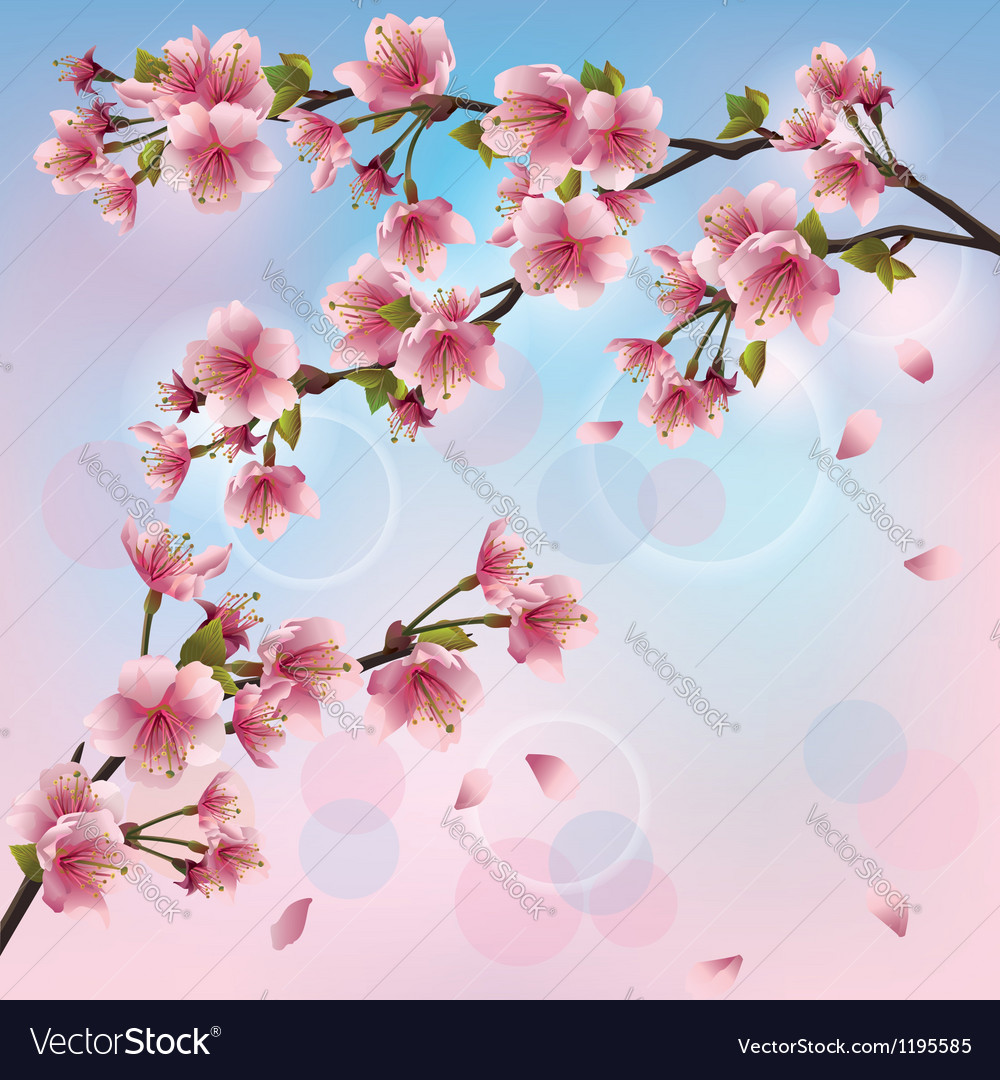 Light Background With Sakura Blossom Japanese Vector Image