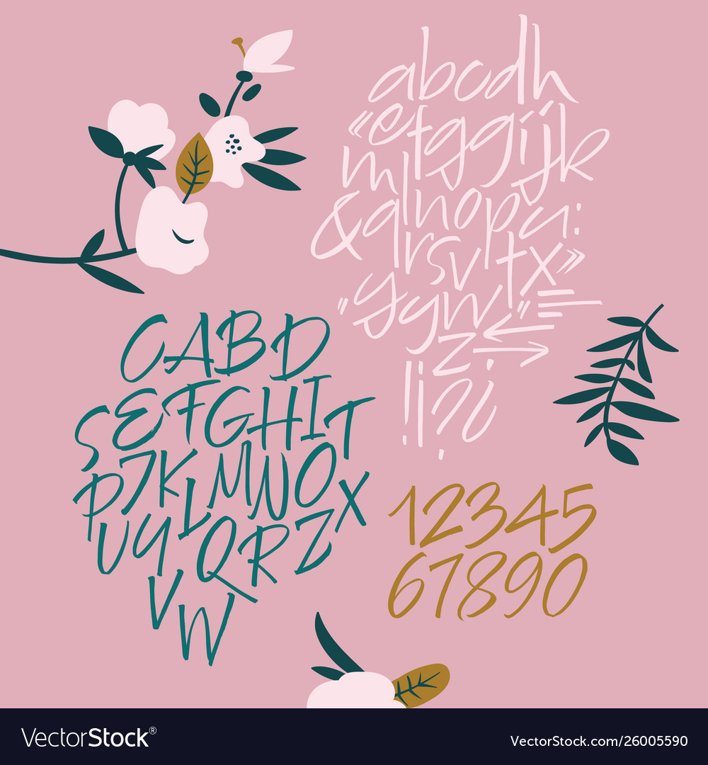 Handwritten font script latin calligraphic set