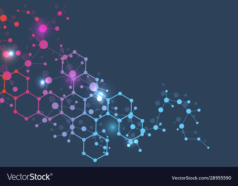 Science network pattern connecting lines and dots vector image Science network pattern connecting lines and dots