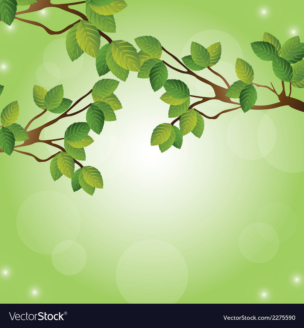 Spring and summer background