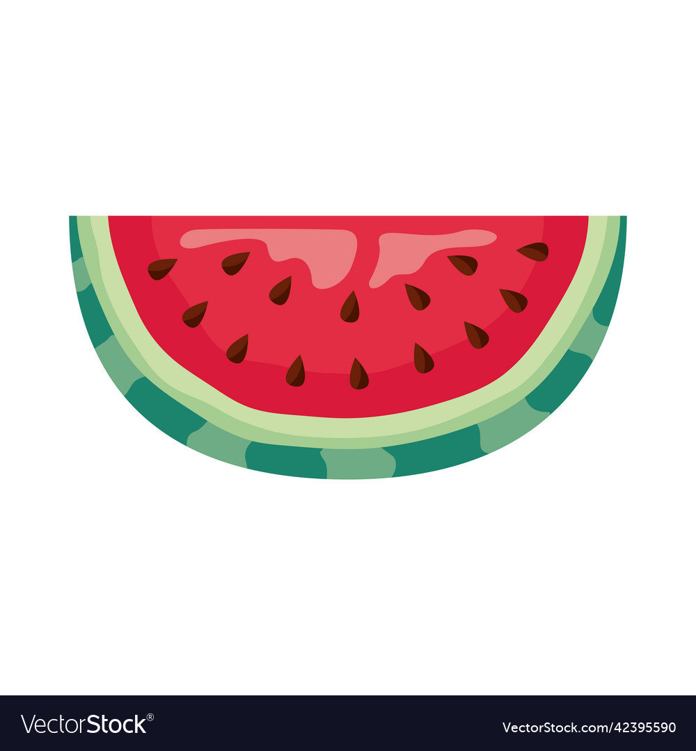 Watermelon fruit portion Royalty Free Vector Image